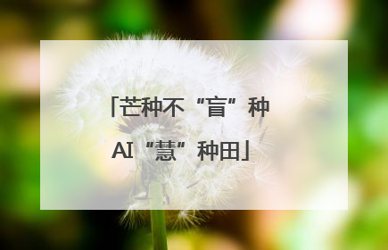 芒种不“盲”种 AI“慧”种田