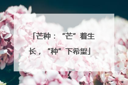 芒种：“芒”着生长，“种”下希望