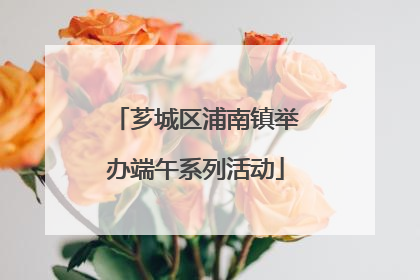 芗城区浦南镇举办端午系列活动