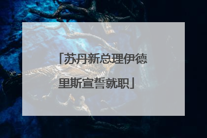 苏丹新总理伊德里斯宣誓就职