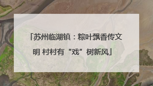 苏州临湖镇：粽叶飘香传文明 村村有“戏”树新风