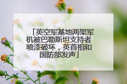 英空军基地两架军机被巴勒斯坦支持者喷漆破坏，英首相和国防部发声