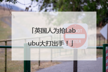 英国人为抢Labubu大打出手！