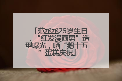范丞丞25岁生日，“红发漫画男”造型曝光，晒“鹅十五”蛋糕庆祝