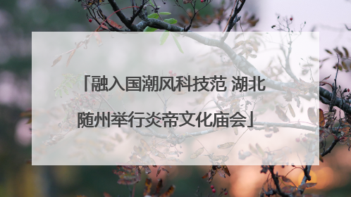 融入国潮风科技范 湖北随州举行炎帝文化庙会