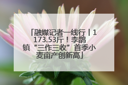 融媒记者一线行丨1173.53斤！李鹊镇“三作三收”首季小麦亩产创新高