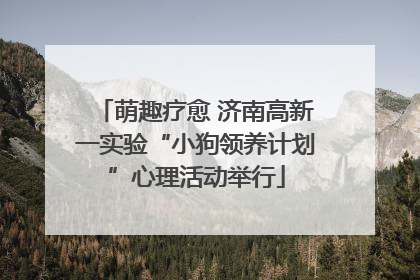 萌趣疗愈 济南高新一实验“小狗领养计划”心理活动举行