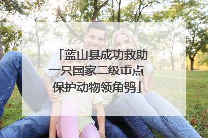 蓝山县成功救助一只国家二级重点保护动物领角鸮