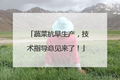 蔬菜抗旱生产，技术指导意见来了！