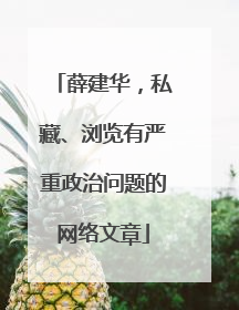 薛建华，私藏、浏览有严重政治问题的网络文章