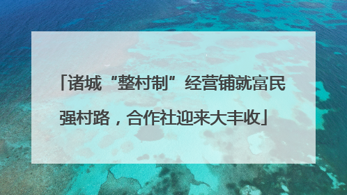 诸城“整村制”经营铺就富民强村路，合作社迎来大丰收