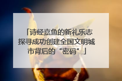诗经嘉鱼的新礼乐志 探寻成功创建全国文明城市背后的“密码”