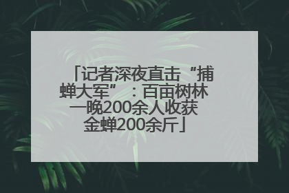 记者深夜直击“捕蝉大军”：百亩树林一晚200余人收获金蝉200余斤