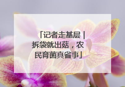 记者走基层｜拆袋就出菇，农民育菌真省事