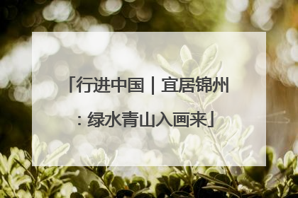 行进中国｜宜居锦州：绿水青山入画来