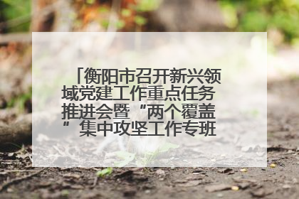 衡阳市召开新兴领域党建工作重点任务推进会暨“两个覆盖”集中攻坚工作专班 第一次会议