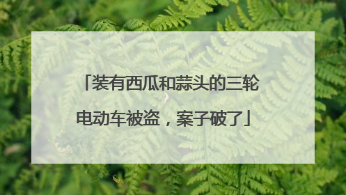 装有西瓜和蒜头的三轮电动车被盗，案子破了