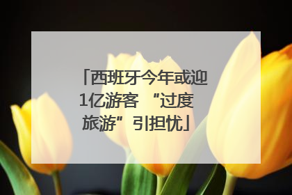 西班牙今年或迎1亿游客 “过度旅游”引担忧