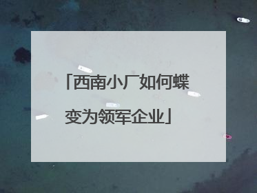 西南小厂如何蝶变为领军企业