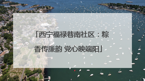 西宁福禄巷南社区：粽香传廉韵 党心映端阳