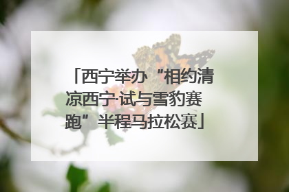 西宁举办“相约清凉西宁·试与雪豹赛跑”半程马拉松赛