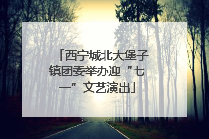 西宁城北大堡子镇团委举办迎“七一”文艺演出