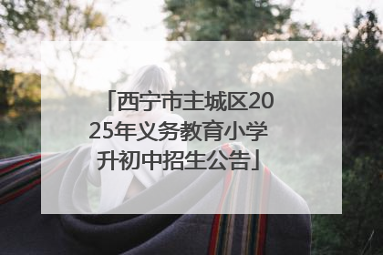西宁市主城区2025年义务教育小学升初中招生公告