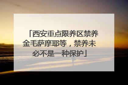 西安重点限养区禁养金毛萨摩耶等，禁养未必不是一种保护