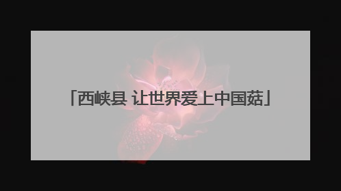 西峡县 让世界爱上中国菇