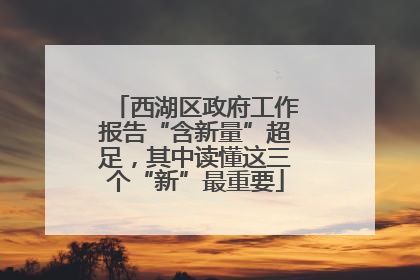 西湖区政府工作报告“含新量”超足，其中读懂这三个“新”最重要