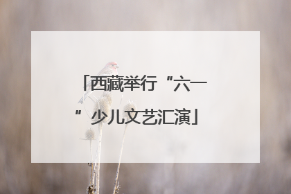 西藏举行“六一”少儿文艺汇演