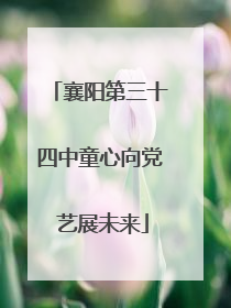 襄阳第三十四中童心向党 艺展未来