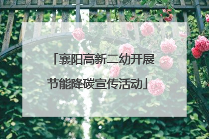 襄阳高新二幼开展节能降碳宣传活动
