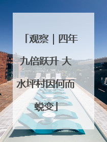 观察｜四年九倍跃升 大水坪村因何而蜕变