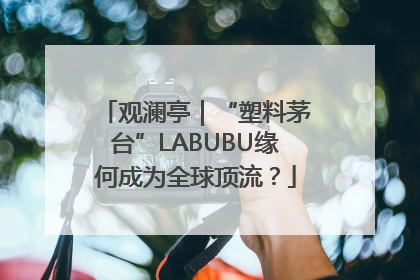 观澜亭｜“塑料茅台”LABUBU缘何成为全球顶流？