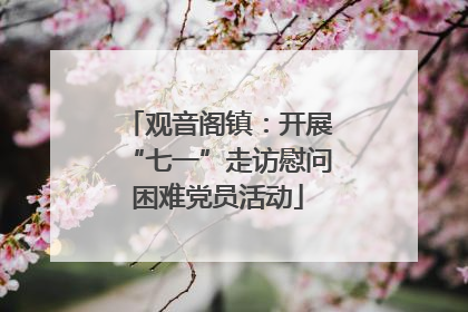 观音阁镇：开展“七一”走访慰问困难党员活动