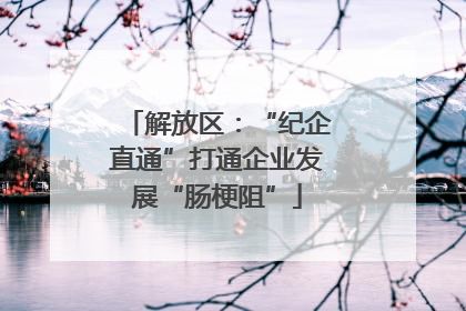 解放区：“纪企直通”打通企业发展“肠梗阻”