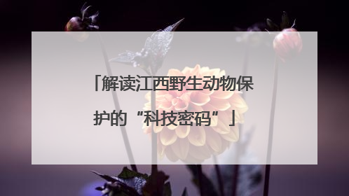 解读江西野生动物保护的“科技密码”
