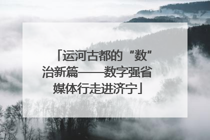 运河古都的“数”治新篇——数字强省媒体行走进济宁