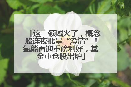 这一领域火了，概念股连夜批量“澄清”！氢能再迎重磅利好，基金重仓股出炉
