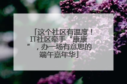 这个社区有温度！IT社区牵手“康康”，办一场有意思的端午嘉年华