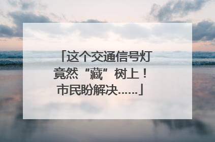 这个交通信号灯竟然“藏”树上！市民盼解决……