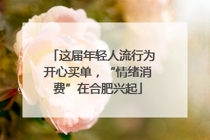 这届年轻人流行为开心买单，“情绪消费”在合肥兴起