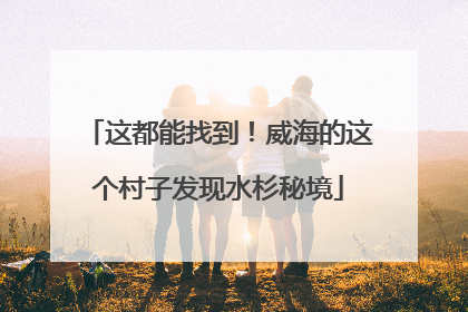 这都能找到！威海的这个村子发现水杉秘境