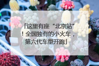 这里有座“北京站”！全国独有的小火车，第六代车型开跑