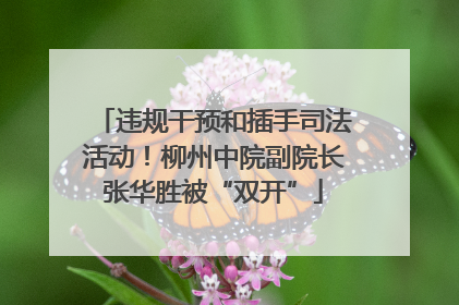 违规干预和插手司法活动！柳州中院副院长张华胜被“双开”