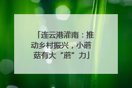 连云港灌南：推动乡村振兴，小蘑菇有大“蘑”力