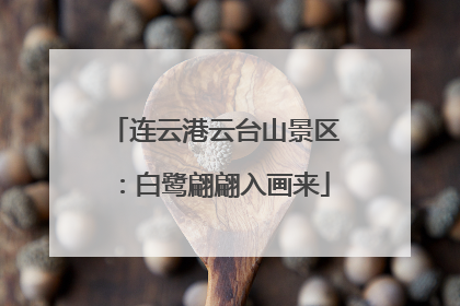 连云港云台山景区：白鹭翩翩入画来