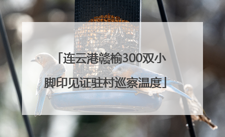 连云港赣榆300双小脚印见证驻村巡察温度