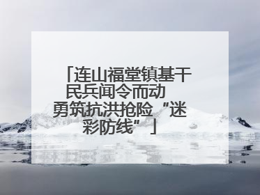 连山福堂镇基干民兵闻令而动  勇筑抗洪抢险“迷彩防线”